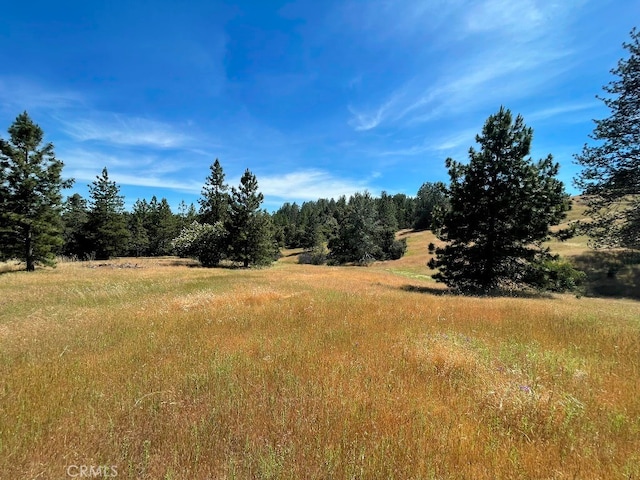 Listing photo 2 for 0 Triangle Rd, Mariposa CA 95338