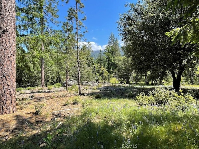 0 Triangle Rd, Mariposa, CA 95338 - photo 13