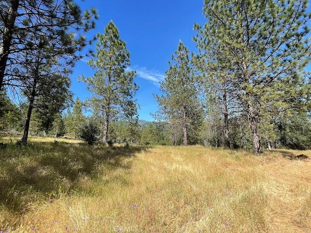 0 Triangle Rd, Mariposa, CA 95338 - photo 10