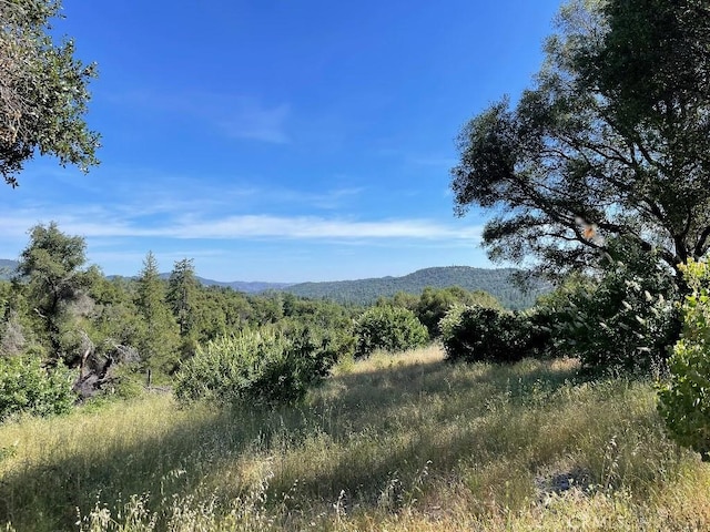 0 Triangle Rd, Mariposa, CA 95338 - photo 17