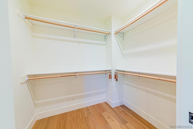 spacious closet with hardwood / wood-style flooring