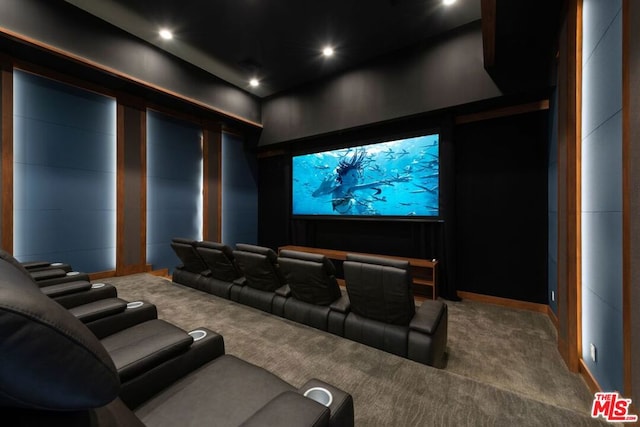 home theater featuring carpet