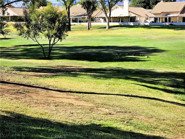 view of community with a lawn