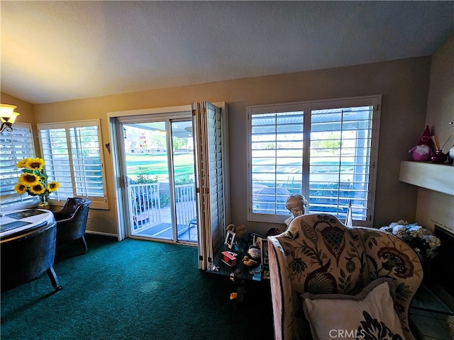 living room featuring dark carpet, lofted ceiling, and a textured ceiling