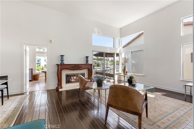 living room with a high ceiling and dark hardwood / wood-style flooring