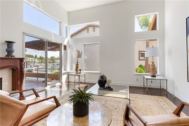 living room featuring a high ceiling and hardwood / wood-style flooring