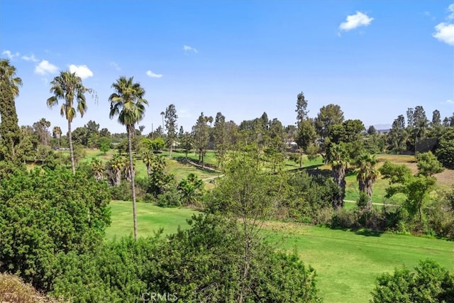 surrounding community featuring a yard and a rural view