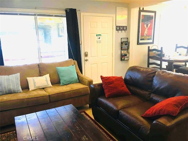 living room with hardwood / wood-style floors