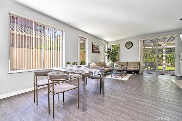 dining area featuring wood-type flooring and a wealth of natural light