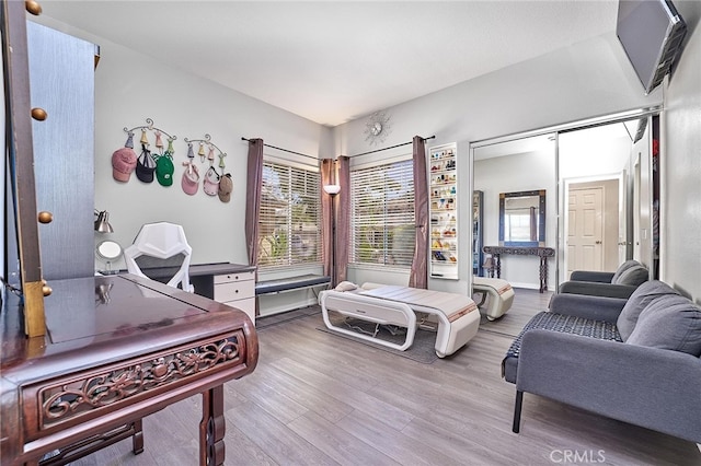 interior space featuring hardwood / wood-style floors