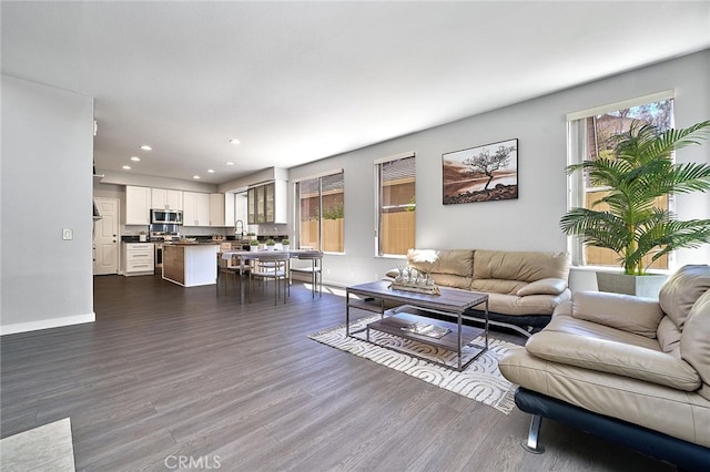 living room with dark wood-type flooring and sink