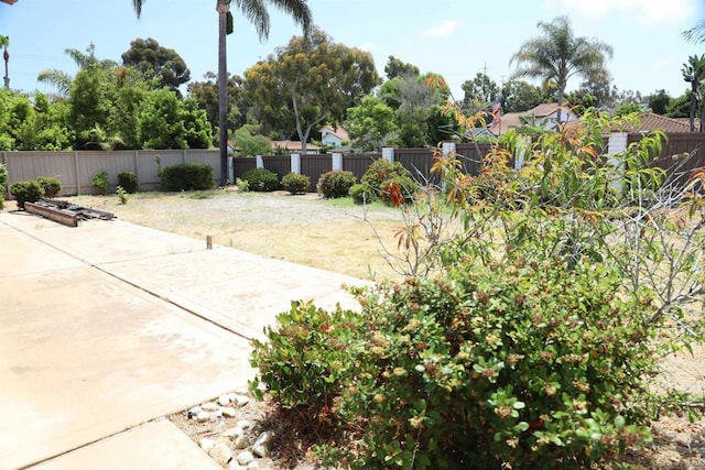 view of yard with a patio area