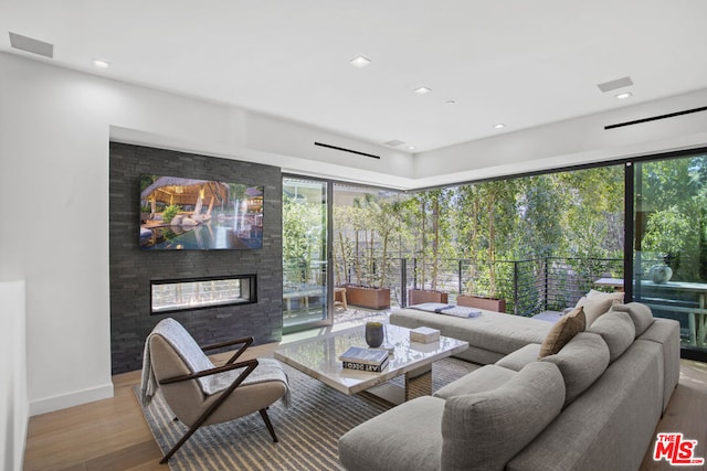 living room featuring a multi sided fireplace and light wood-type flooring