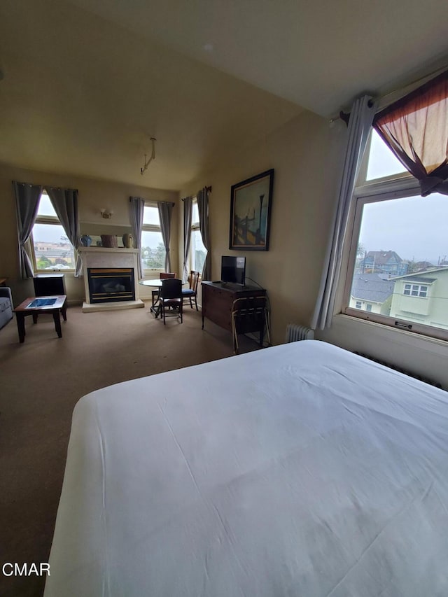 bedroom featuring carpet floors