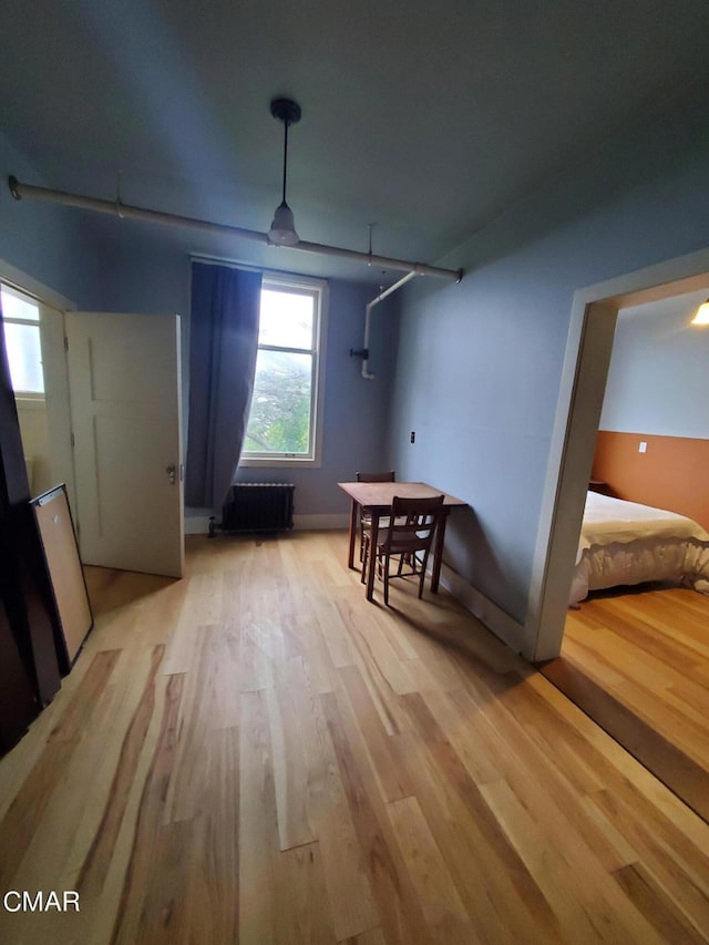 dining space featuring light hardwood / wood-style floors