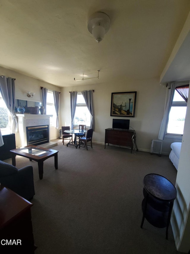 living room featuring carpet floors and radiator heating unit