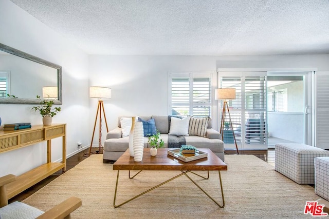 living room featuring wood-type flooring and a textured ceiling