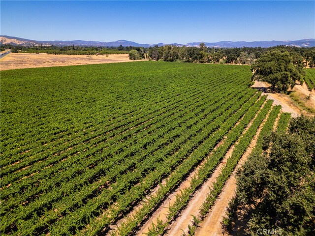 bird's eye view featuring a mountain view and a rural view