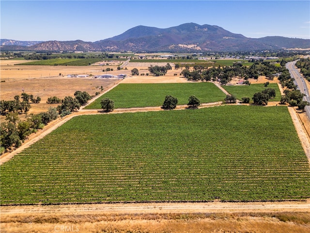 bird's eye view featuring a rural view and a mountain view