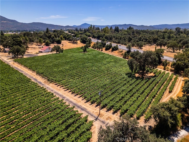 birds eye view of property featuring a mountain view and a rural view