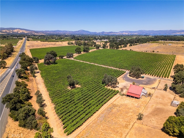 birds eye view of property with a mountain view and a rural view