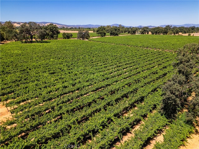 drone / aerial view with a rural view and a mountain view