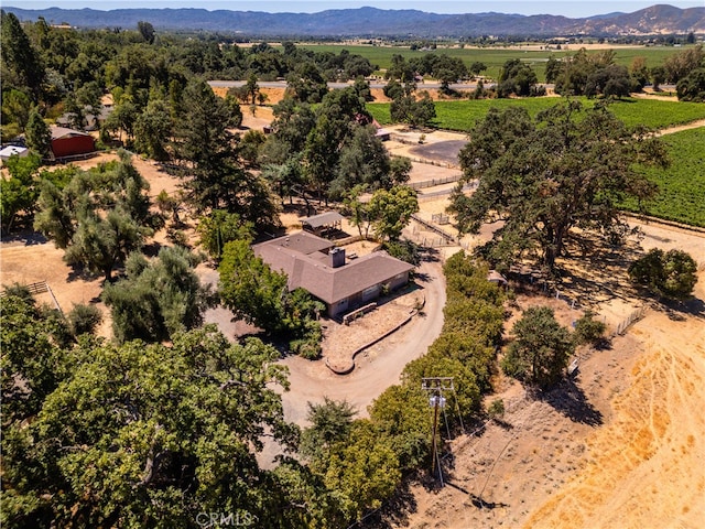 drone / aerial view featuring a mountain view