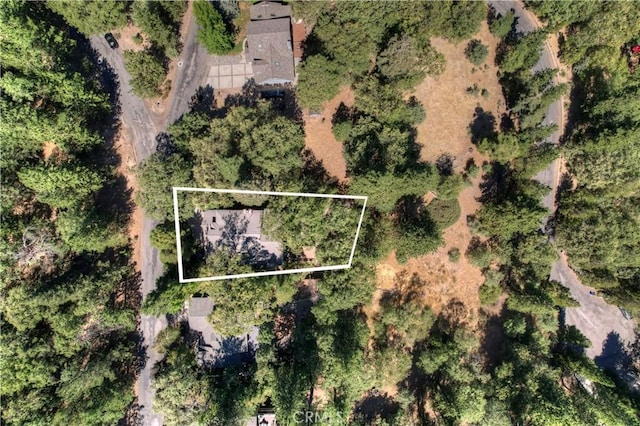 30184 Sky Line Dr, Running Springs, CA 92382 - view of property location with property boundaries highlighted