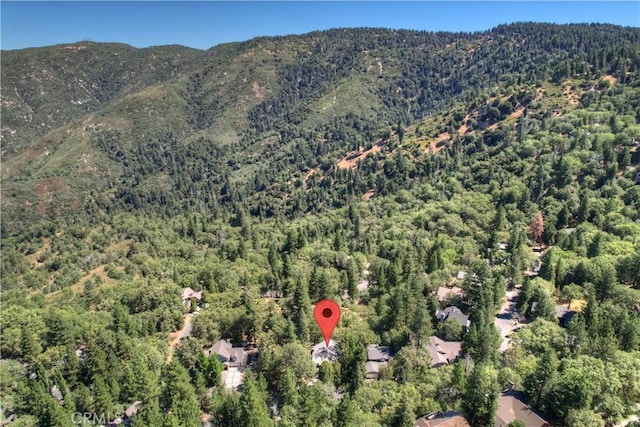 30184 Sky Line Dr, Running Springs, CA 92382 - view of property location with a heavily wooded area and a mountainous background