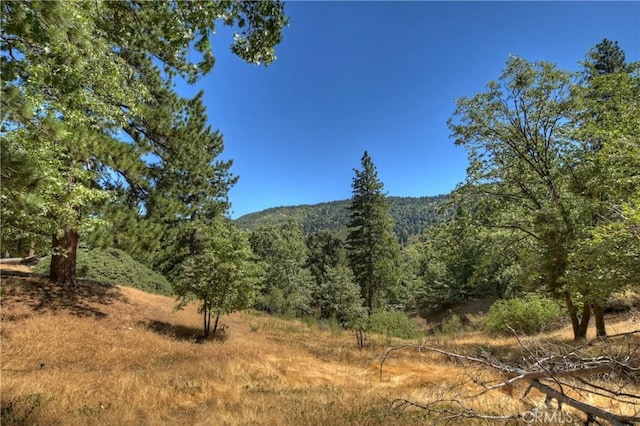 30184 Sky Line Dr, Running Springs, CA 92382 - mountain view with a heavily wooded area