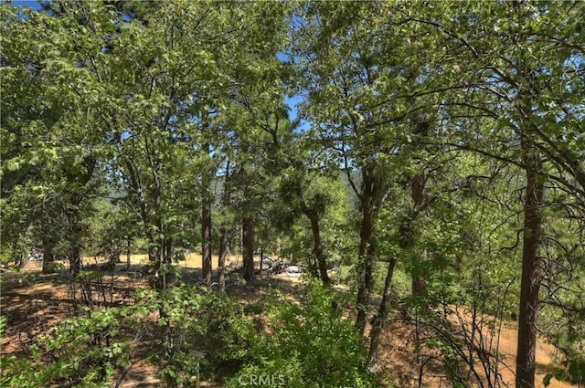 30184 Sky Line Dr, Running Springs, CA 92382 - view of nature