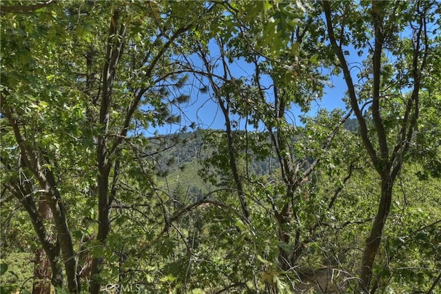 30184 Sky Line Dr, Running Springs, CA 92382 - view of wooded area