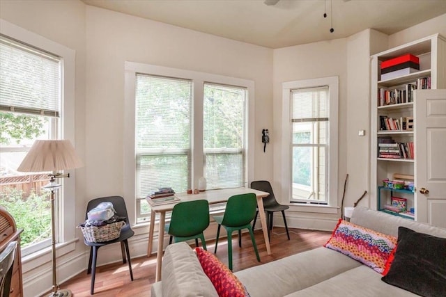 interior space featuring wood-type flooring, a wealth of natural light, and ceiling fan