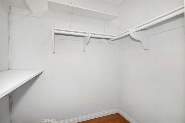 spacious closet featuring dark hardwood / wood-style flooring