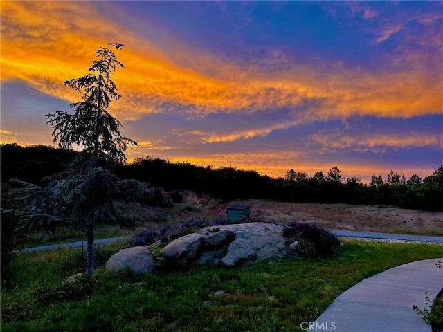 view of yard at dusk