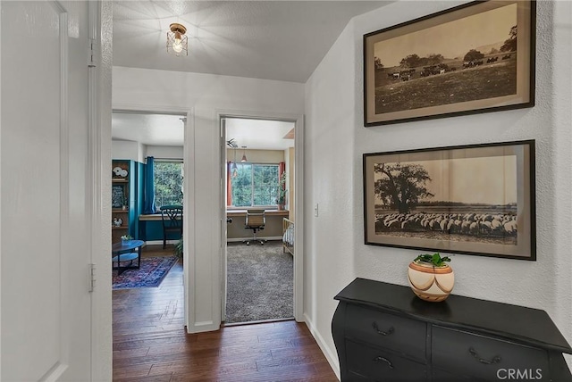 corridor featuring dark hardwood / wood-style floors