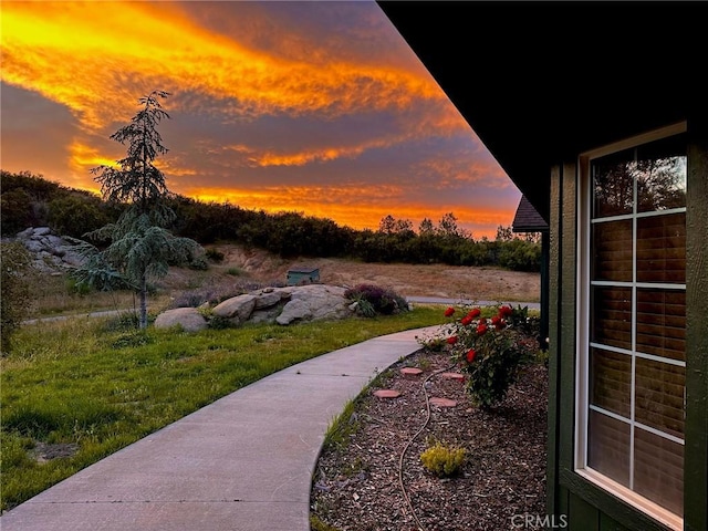 view of yard at dusk