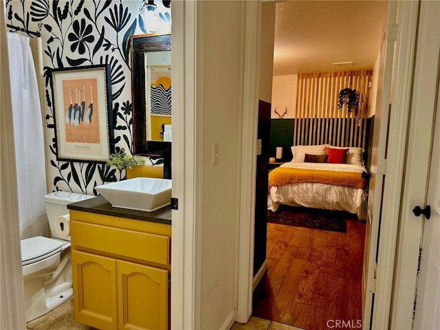 bathroom with toilet and vanity