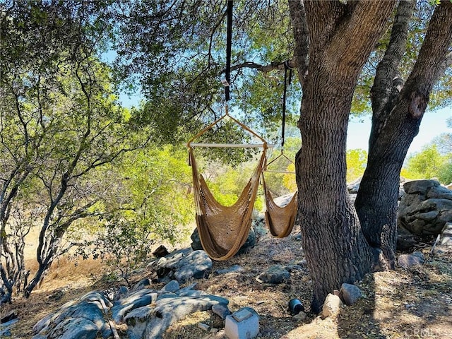 view of local wilderness