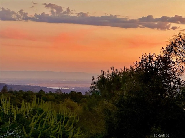 view of nature at dusk