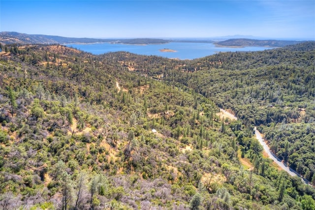 8700 Oro-Quincy, Berry Creek CA, 95916 land for sale