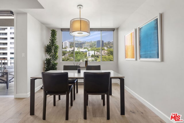 dining room with light hardwood / wood-style floors