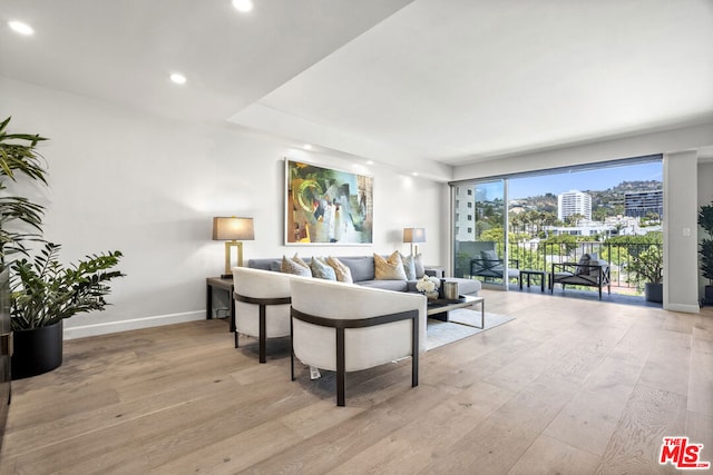 living room featuring light hardwood / wood-style floors