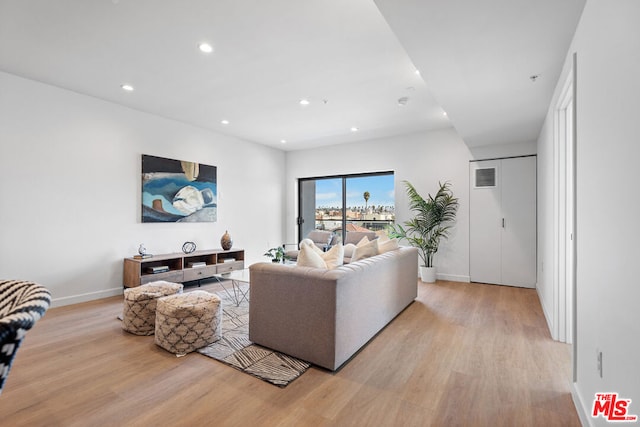 living room featuring light hardwood / wood-style flooring