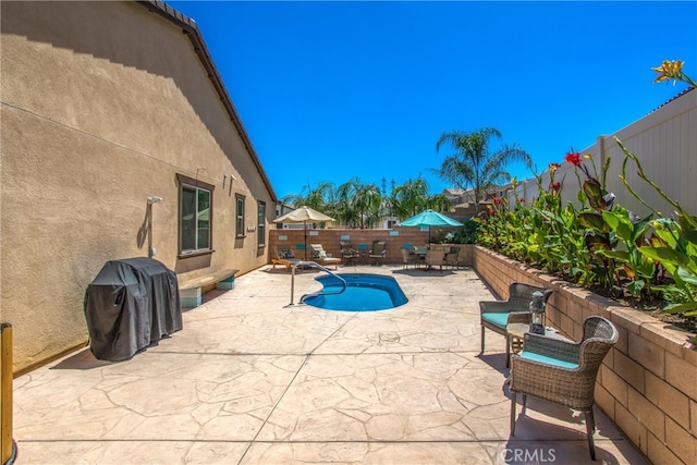 view of swimming pool with a patio area and a grill