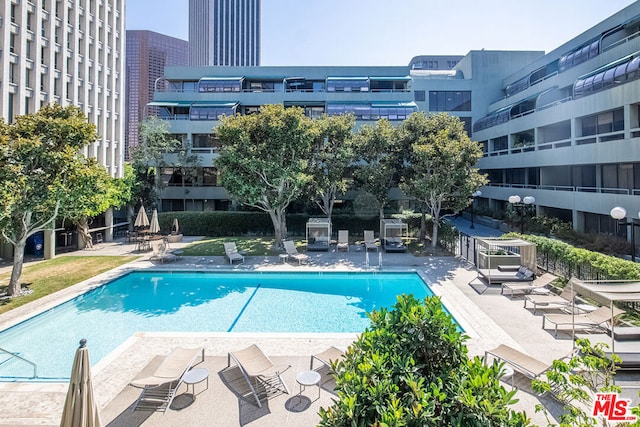 view of swimming pool featuring a patio area