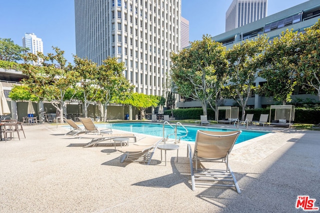 view of pool with a patio