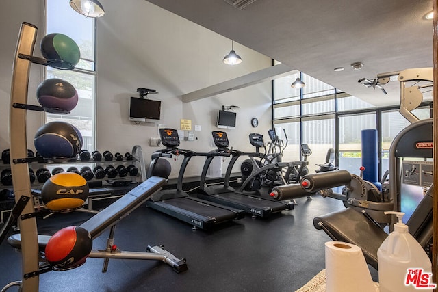 gym featuring expansive windows and a wealth of natural light