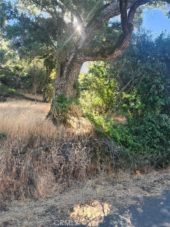 5555 Vacation Blvd, Somerset, CA 95684 - photo 1