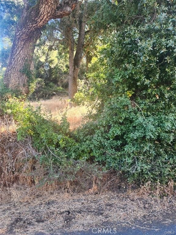 5555 Vacation Blvd, Somerset, CA 95684 - photo 2